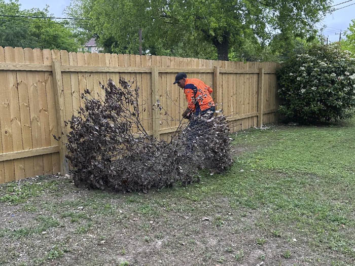 D.A.M Rivera Landscaping