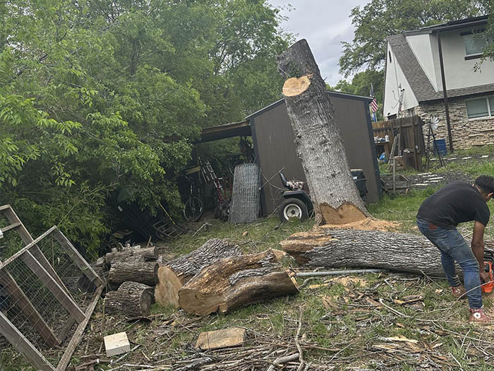 D.A.M Rivera Landscaping