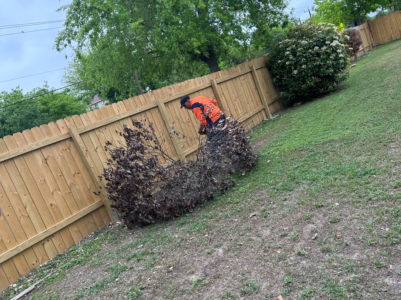 D.A.M Rivera Landscaping