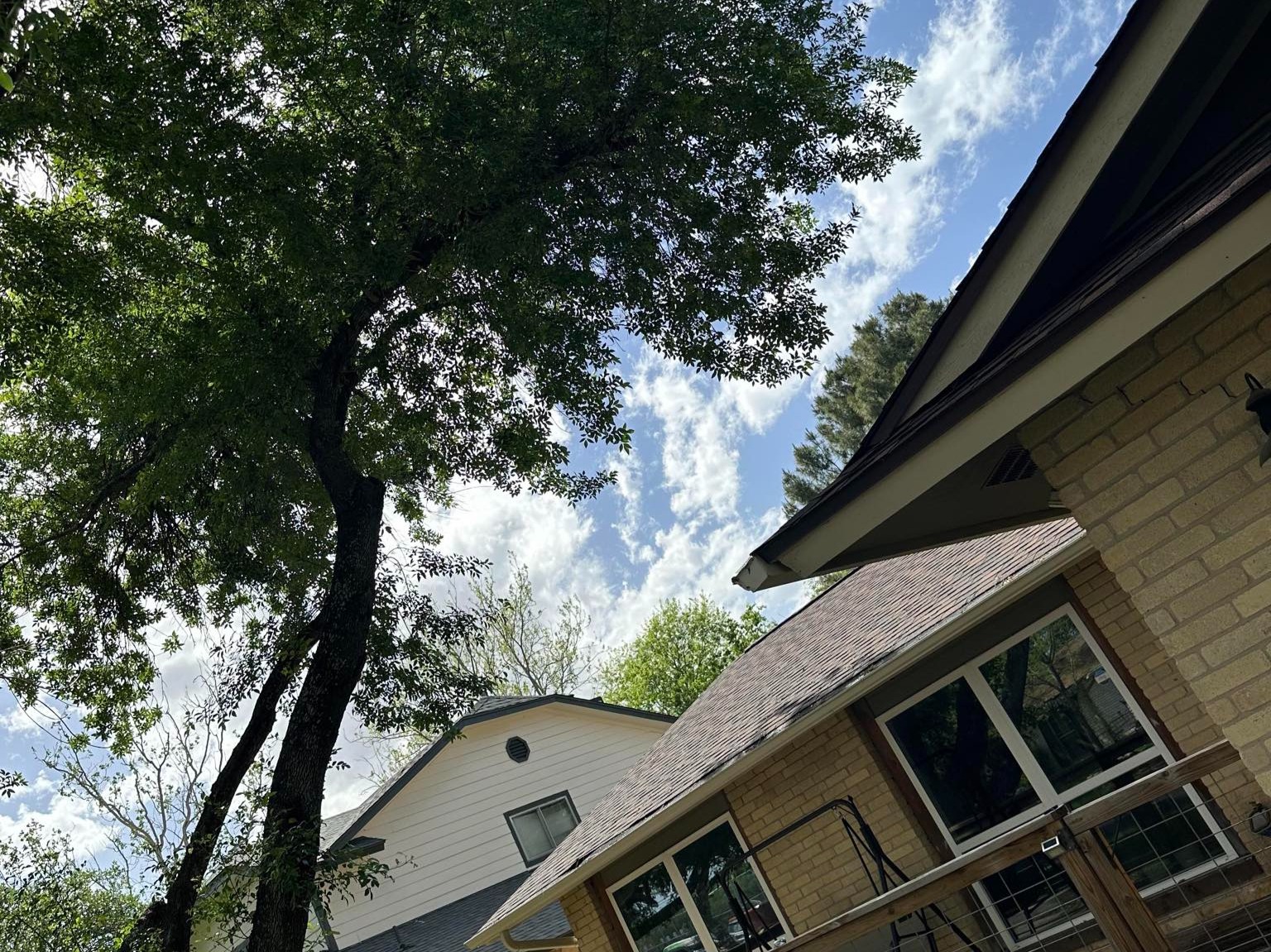 D.A.M Rivera Landscaping