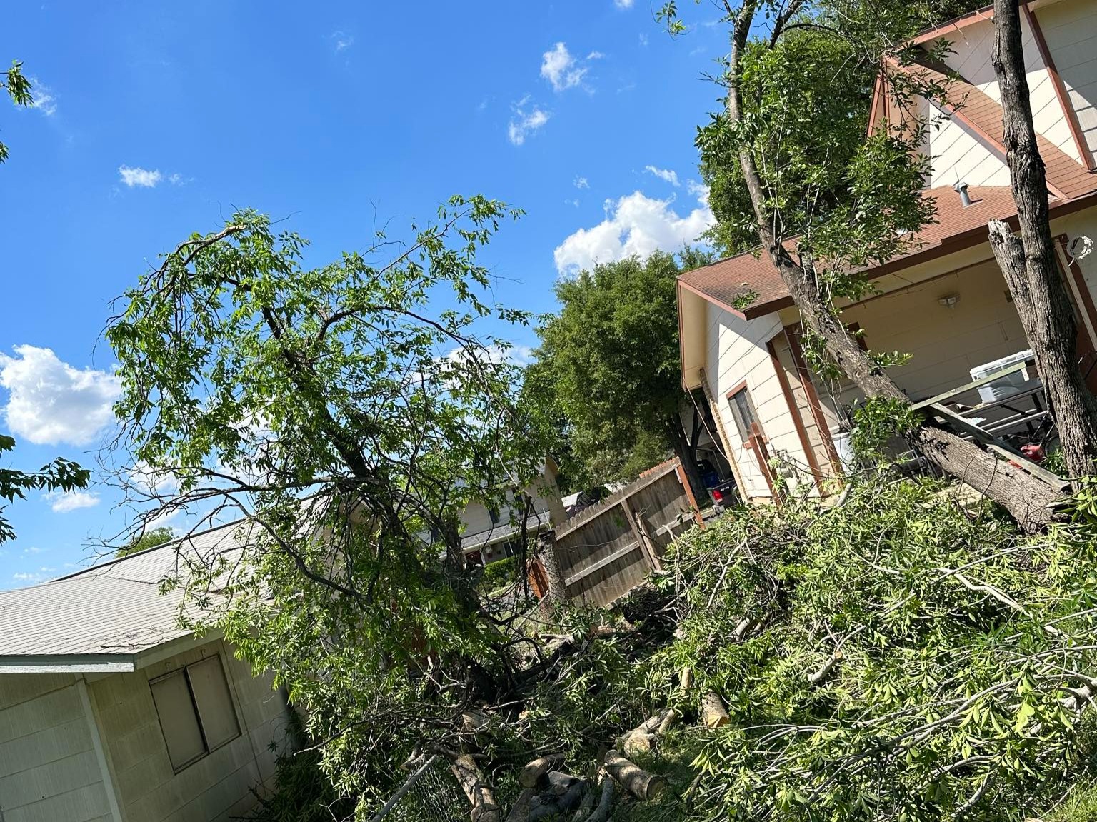 D.A.M Rivera Landscaping