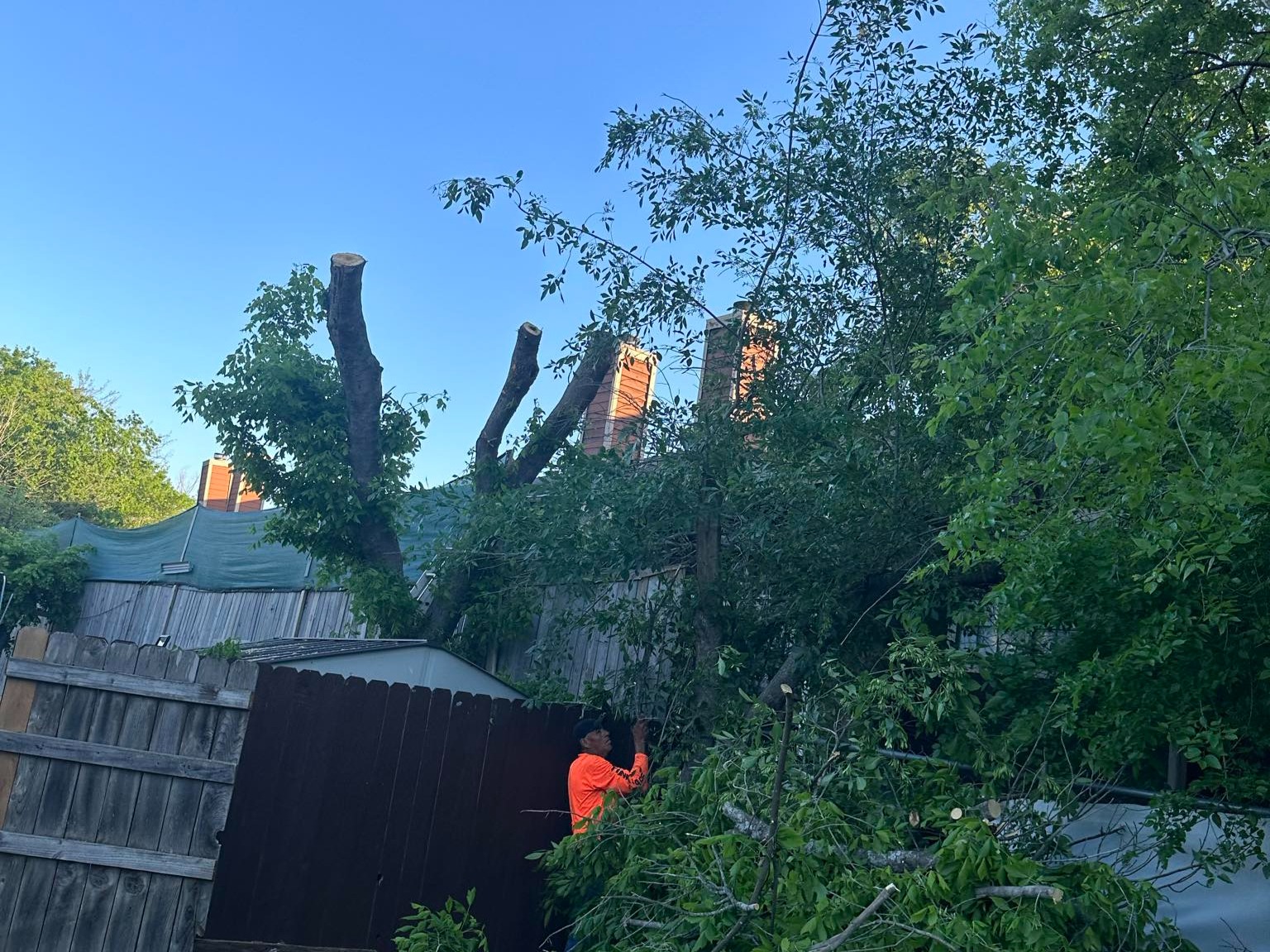 D.A.M Rivera Landscaping