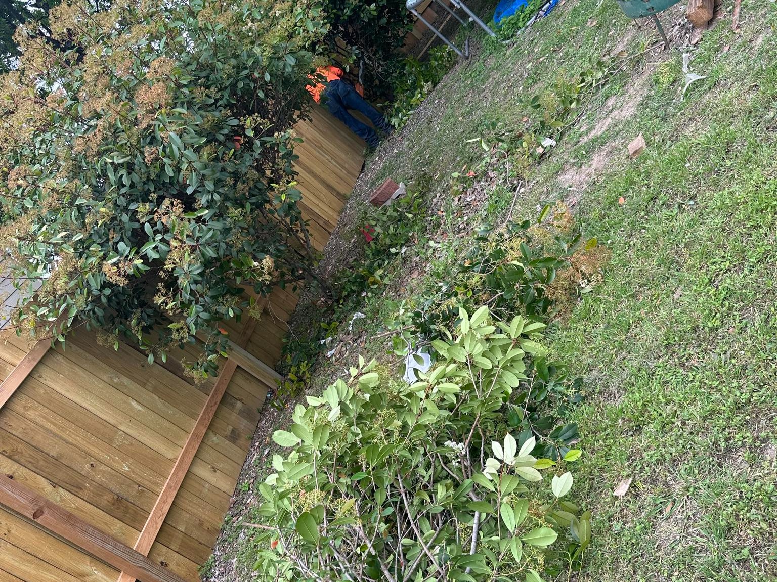 D.A.M Rivera Landscaping