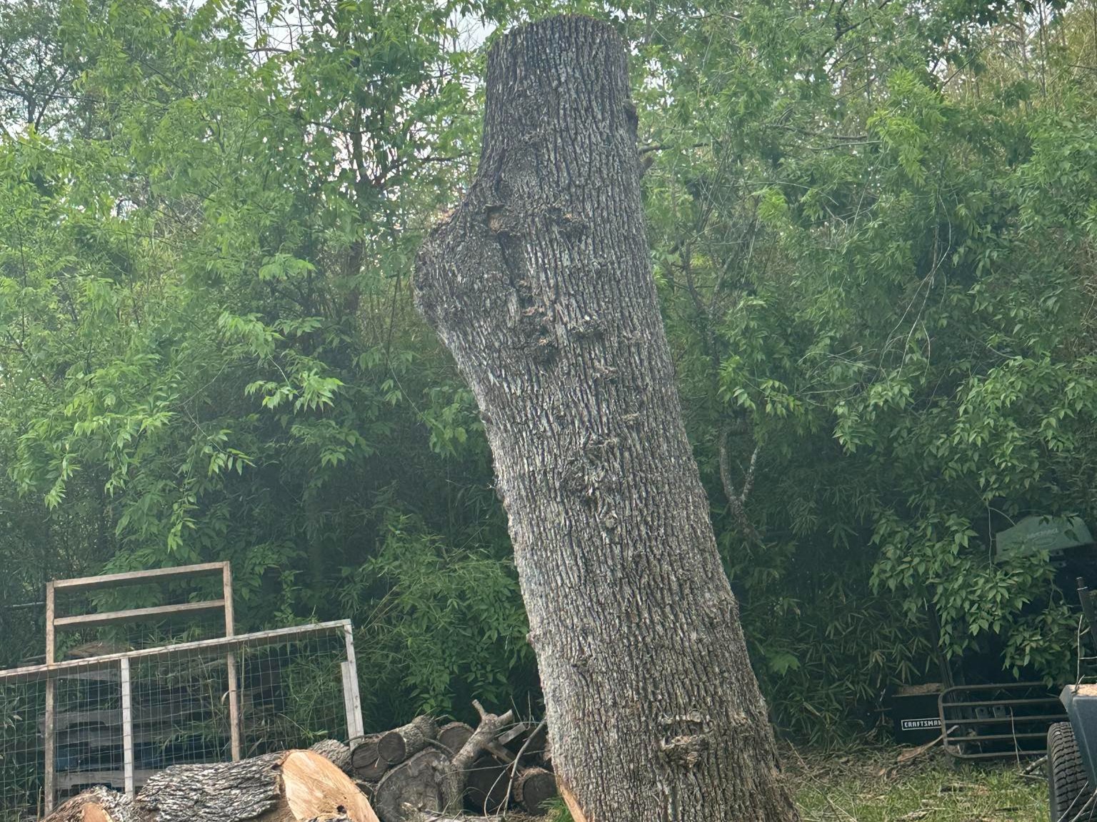 D.A.M Rivera Landscaping