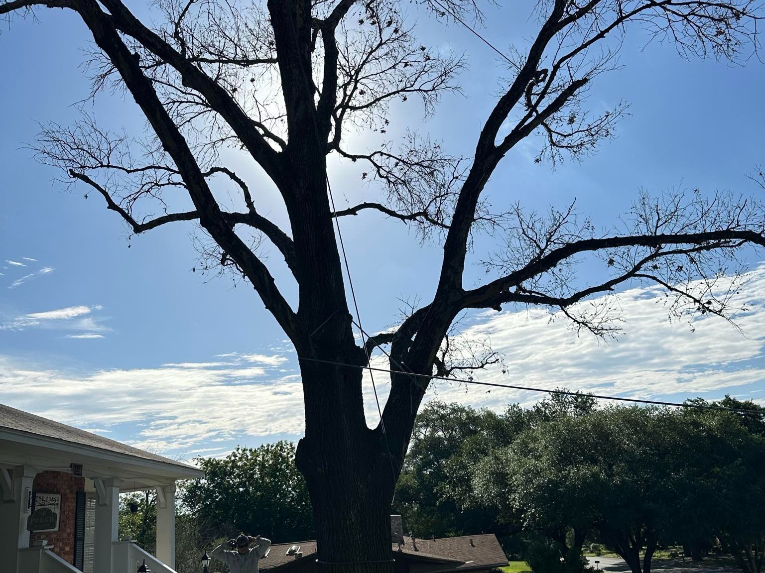 D.A.M Rivera Landscaping