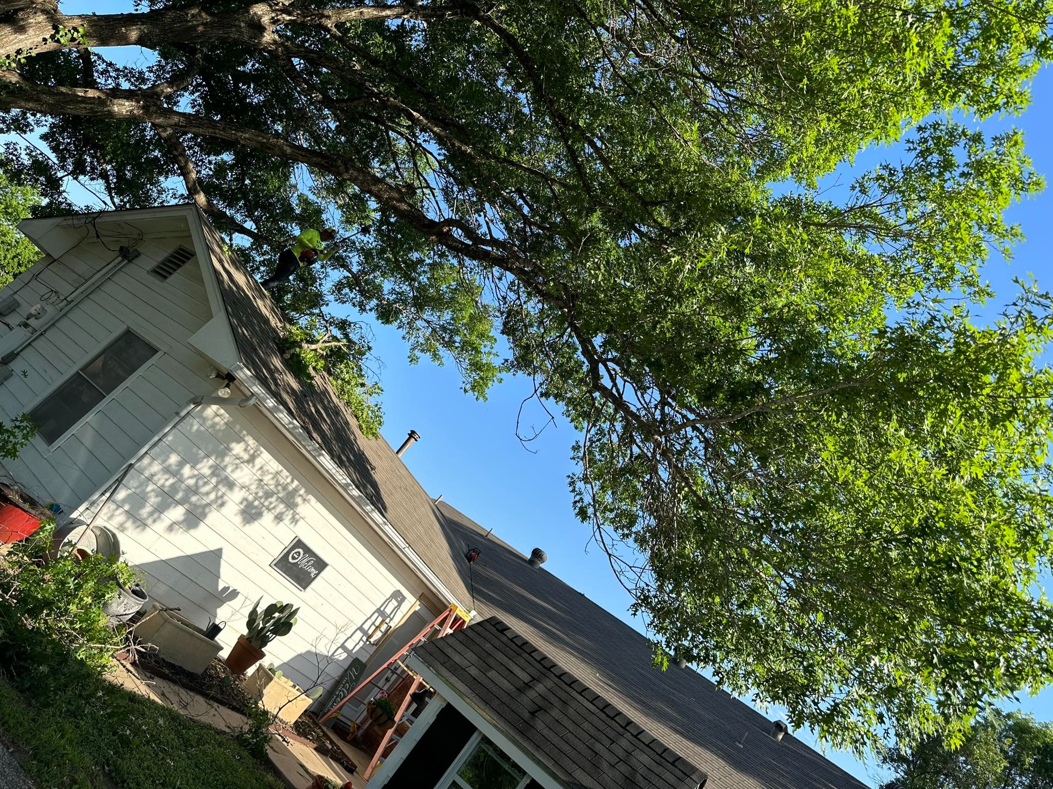 D.A.M Rivera Landscaping