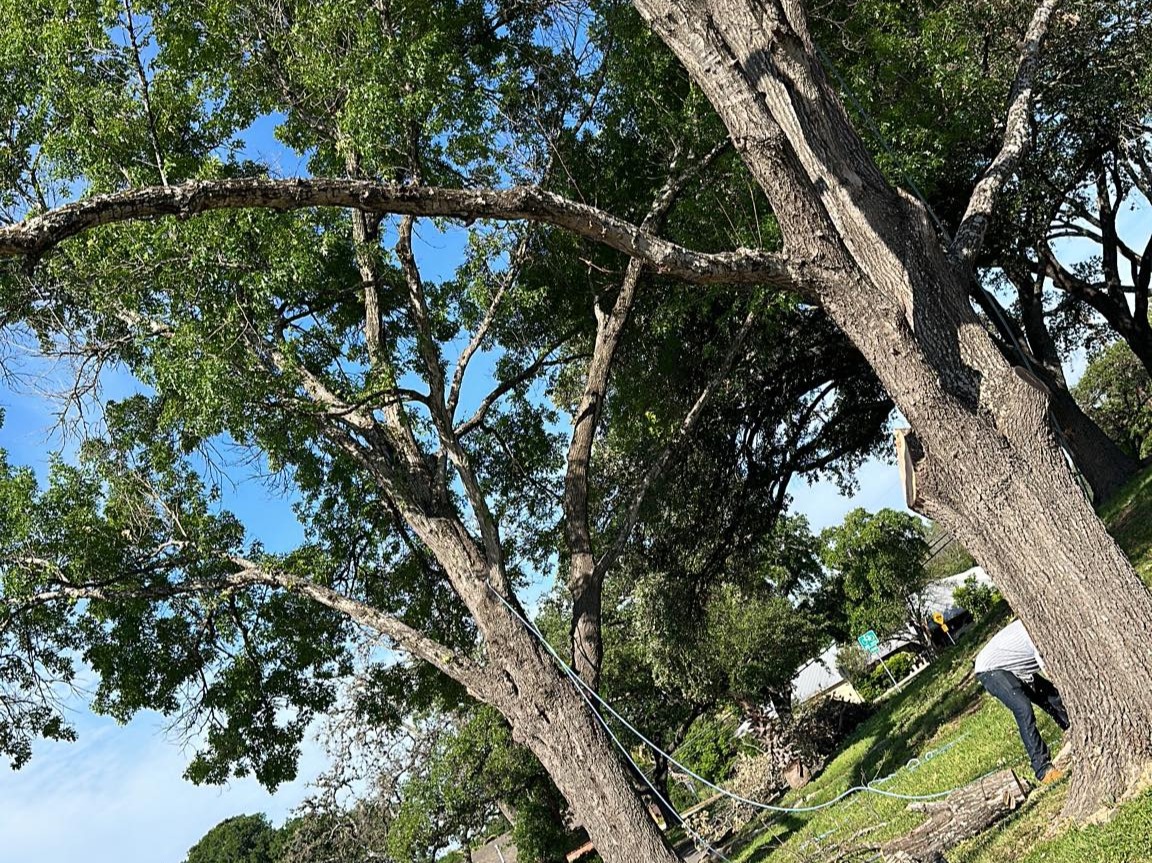 D.A.M Rivera Landscaping