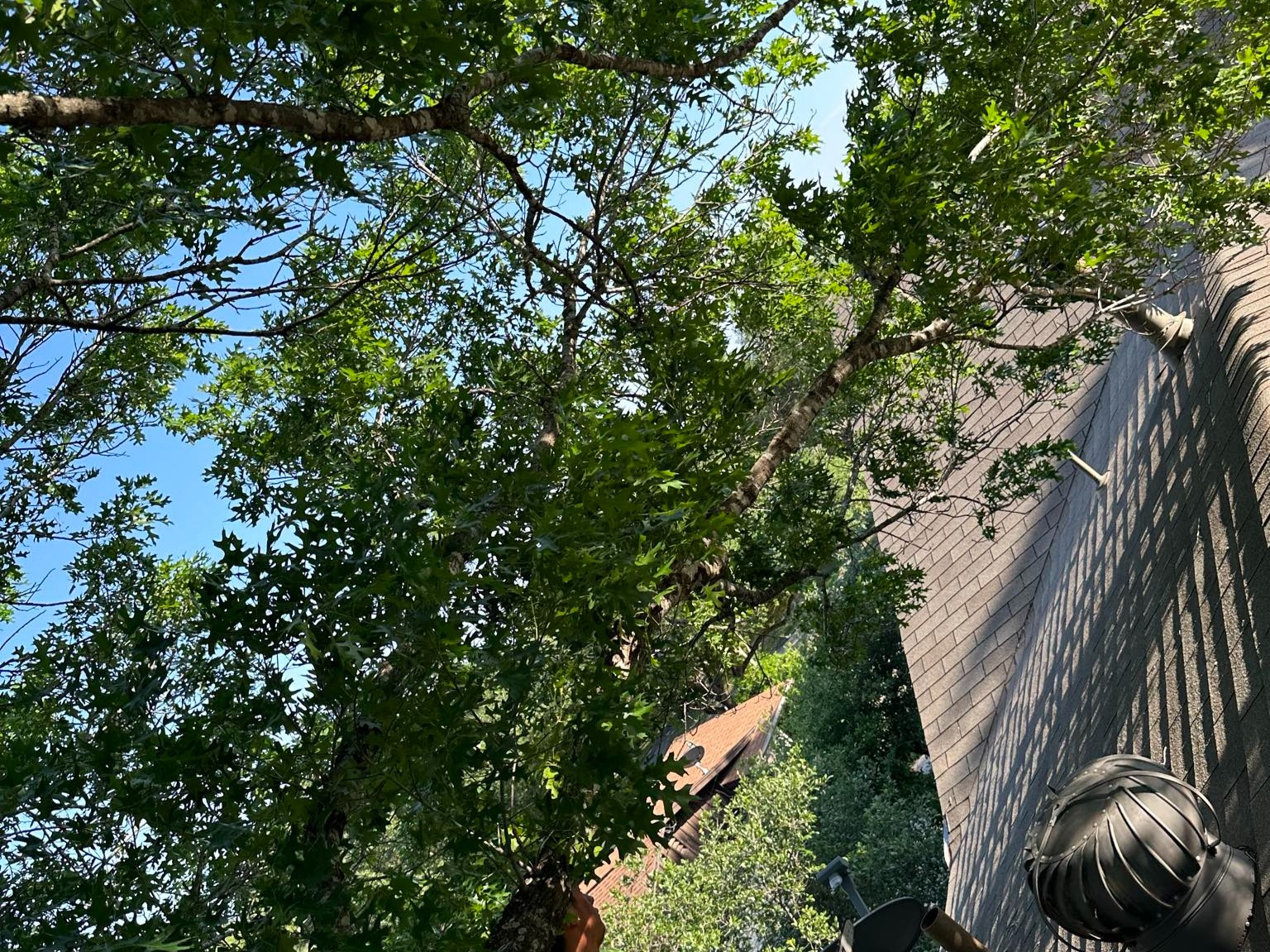 D.A.M Rivera Landscaping