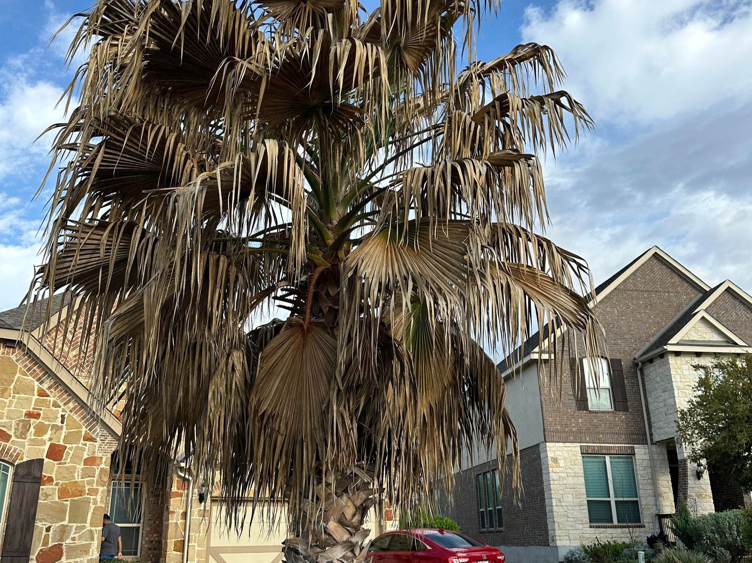 D.A.M Rivera Landscaping