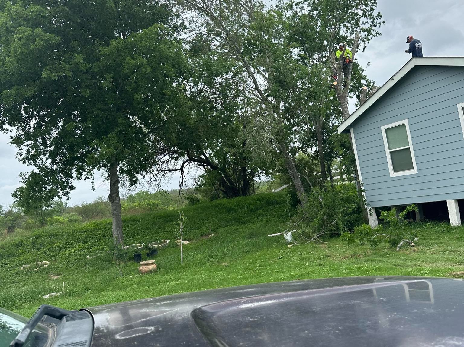 D.A.M Rivera Landscaping