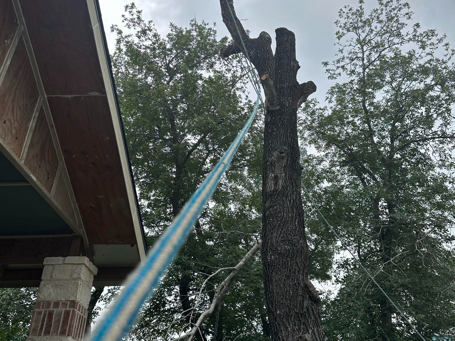 D.A.M Rivera Landscaping