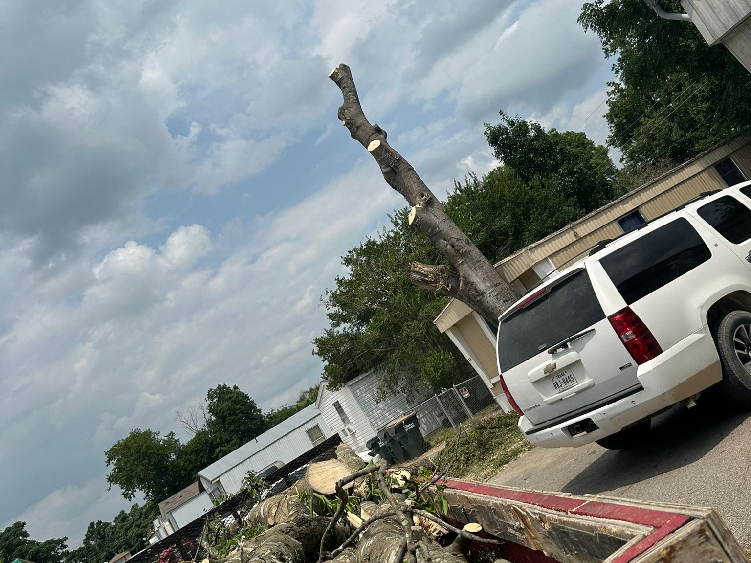 D.A.M Rivera Landscaping