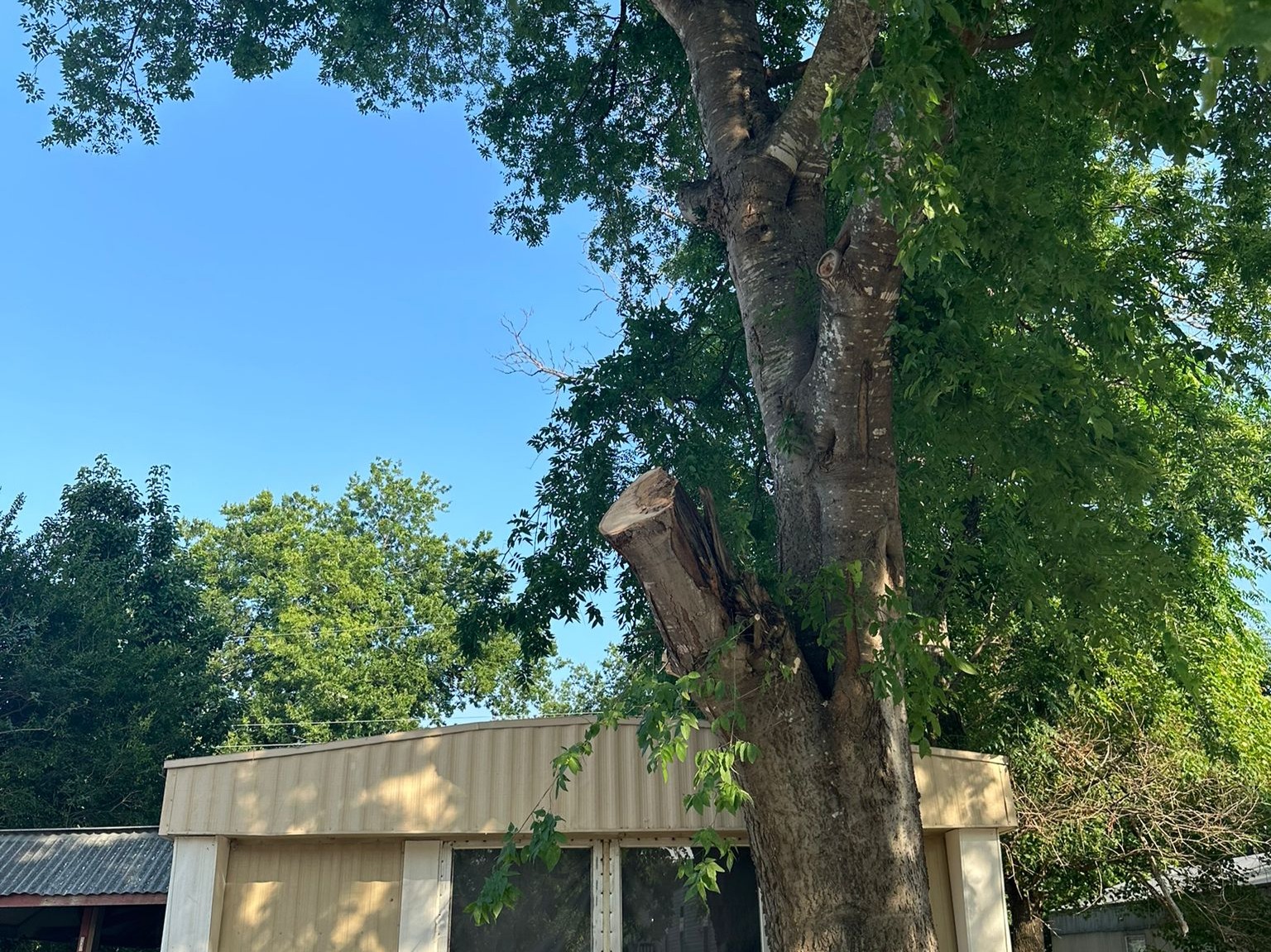 D.A.M Rivera Landscaping