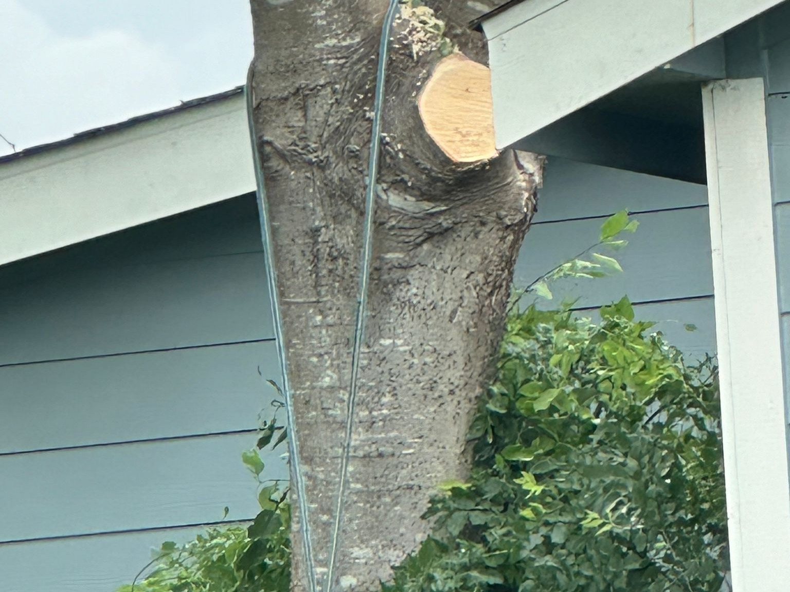 D.A.M Rivera Landscaping