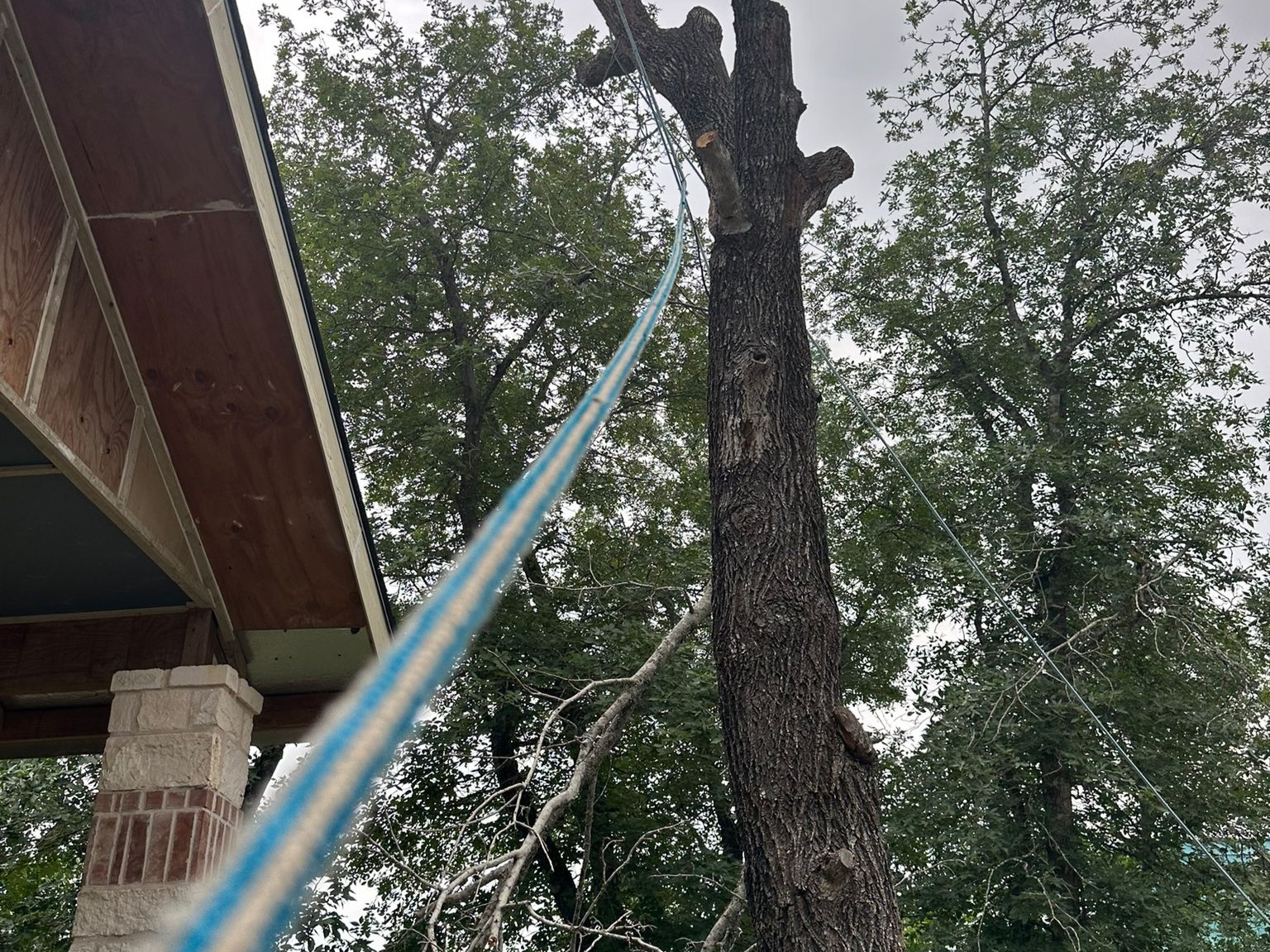 D.A.M Rivera Landscaping