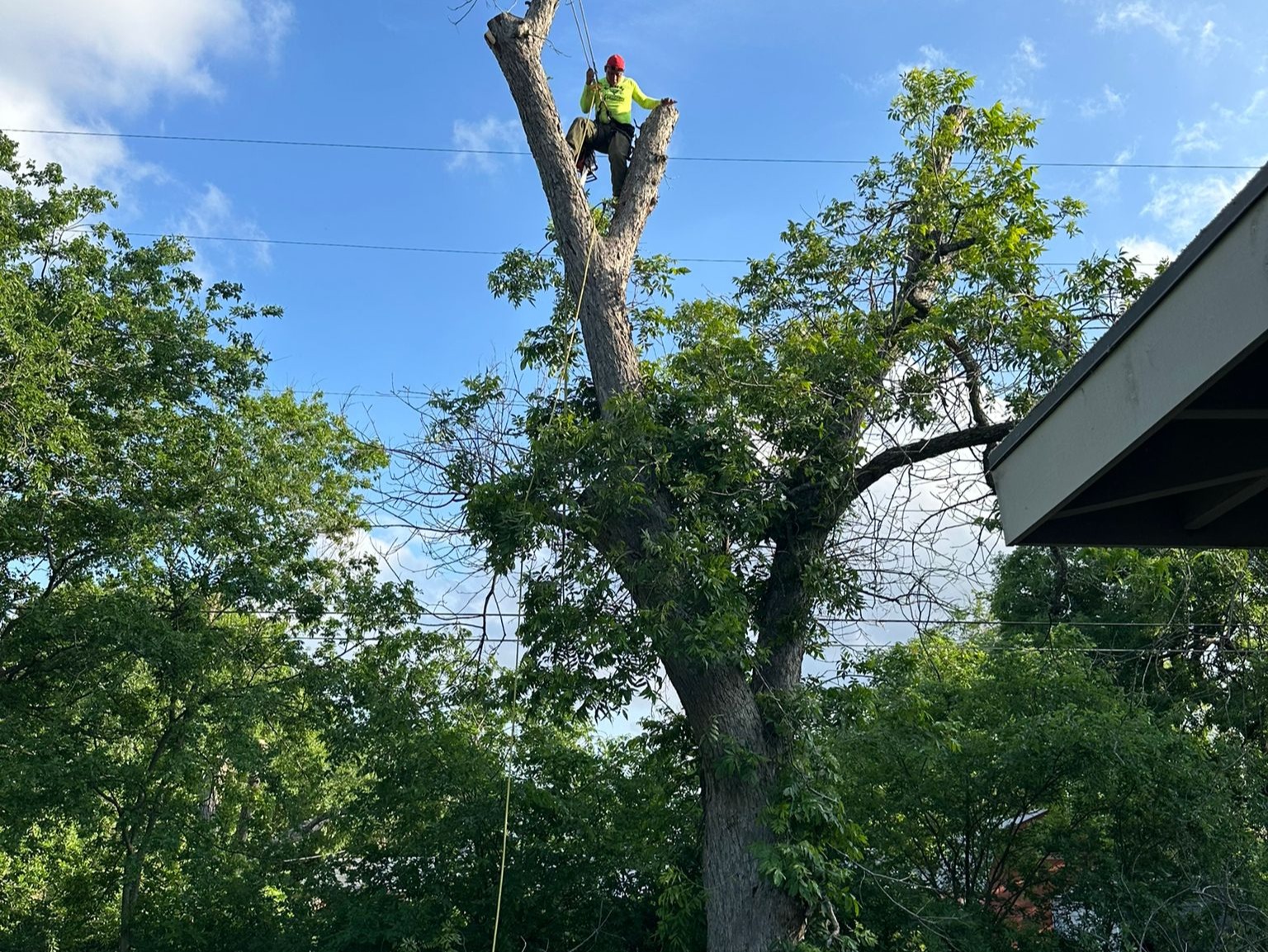 D.A.M Rivera Landscaping