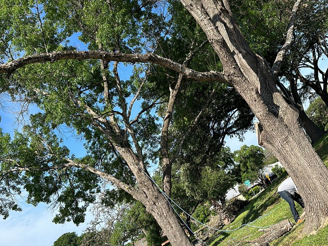 D.A.M Rivera Landscaping