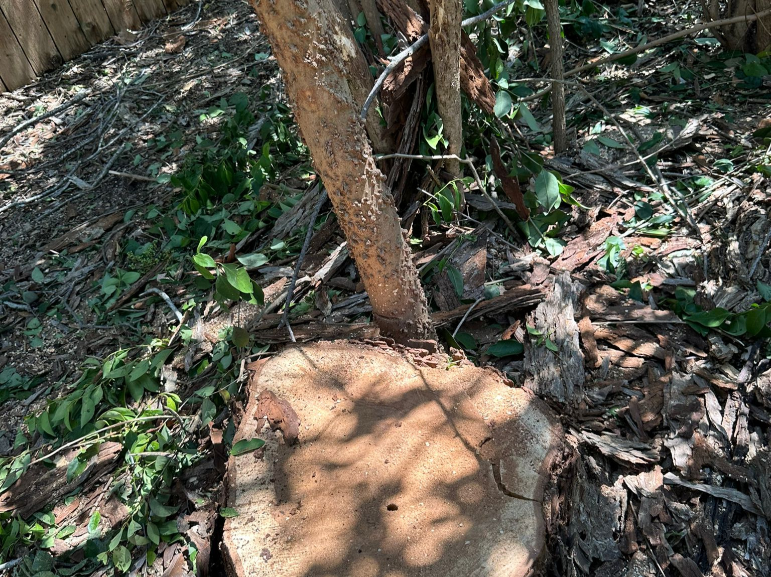 D.A.M Rivera Landscaping