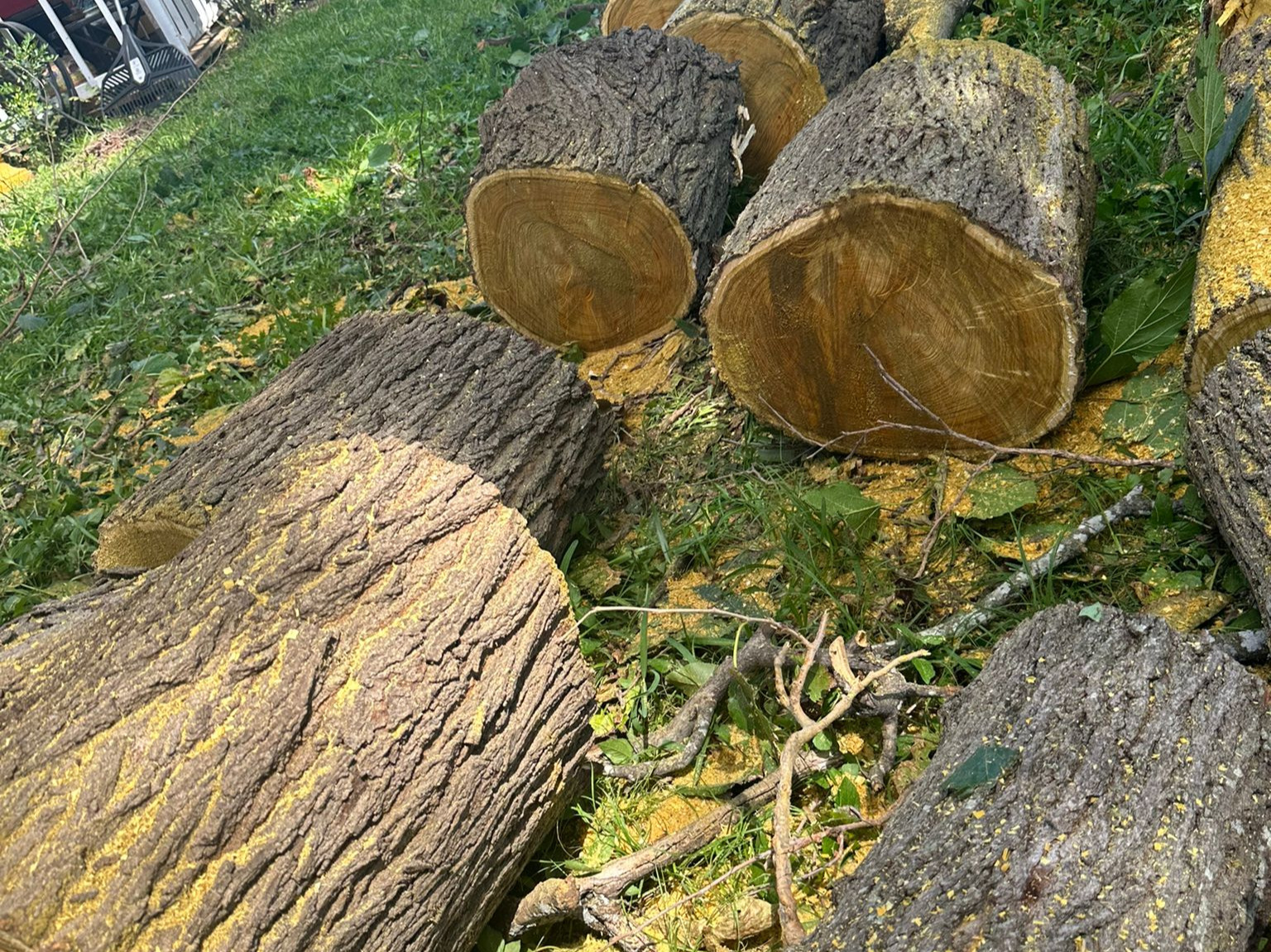 D.A.M Rivera Landscaping