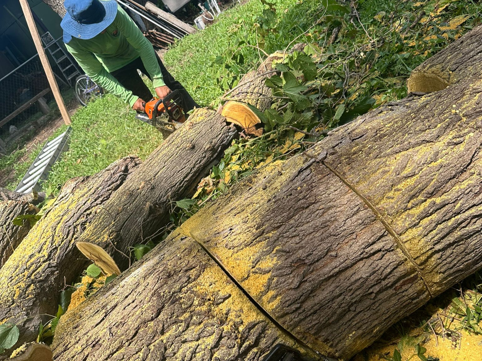 D.A.M Rivera Landscaping