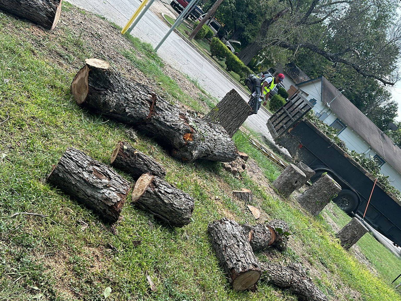 D.A.M Rivera Landscaping