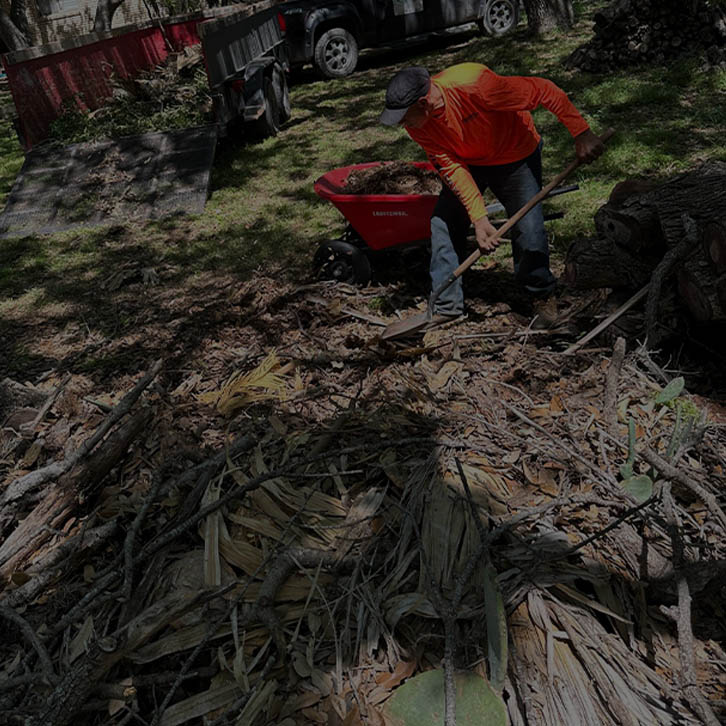 D.A.M Rivera Landscaping